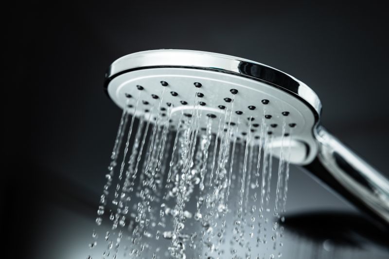 Multi-Function Showerhead