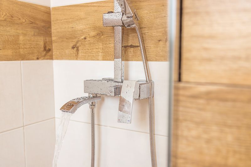 Contemporary Shower Features